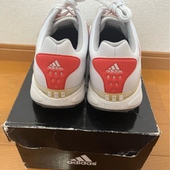 【ゴルフシューズ】adidasレディースgolf shoes 23cm 23.0cm 23センチ　美品　アディダススニーカー　ゴルフ女子　ゴルフ用品の画像