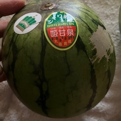 小玉スイカ🍉の画像