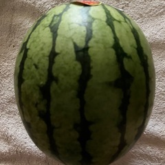 小玉スイカ🍉の画像