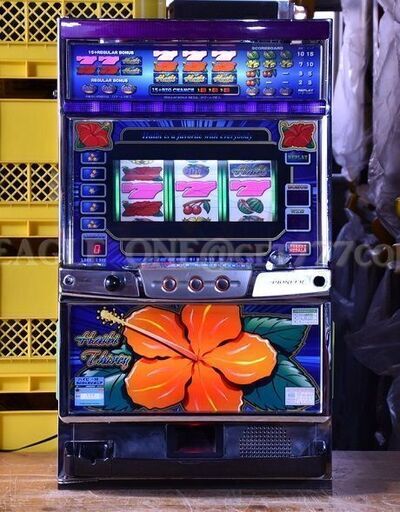 入手困難】☆ハイビ30 バケ33GVer☆コレクション品☆パイオニア