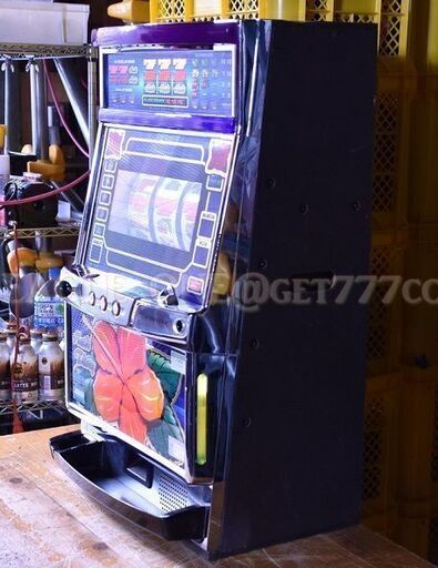 ＋ロム2枚付　4号機　ハイビ30 パイオニア　沖スロ　パチスロ　実機　スロット ＋ロム2枚付 4号機 ハイビ30 パイオニア 沖スロ パチスロ 実機