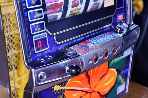 ＋ロム2枚付　4号機　ハイビ30 パイオニア　沖スロ　パチスロ　実機　スロット ＋ロム2枚付 4号機 ハイビ30 パイオニア 沖スロ パチスロ 実機