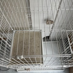 猫ゲージ 2段 保護猫の画像