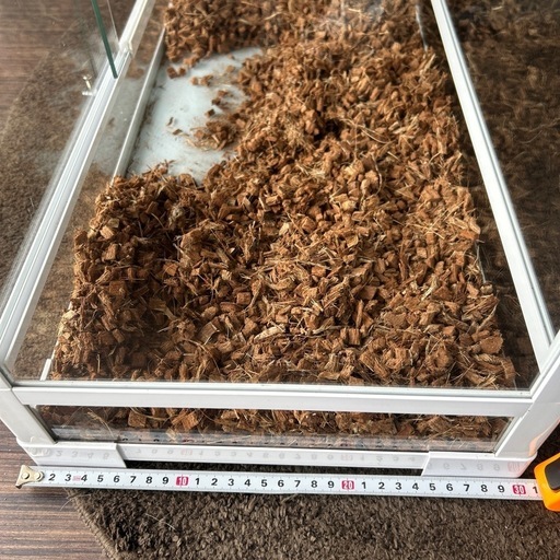 爬虫類　ゲージ