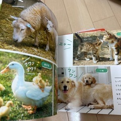 こどもチャレンジ　しまじろう　教材とDVDぷち　1・2歳　の画像