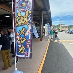 高級メダカ掬いやりますよ！
の画像