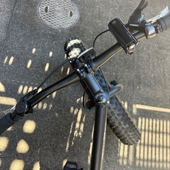 TXED 極太タイヤファットバイク　自転車　26インチの画像