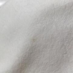 バズライトイヤー　クッションの画像