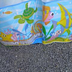 お庭でプールの画像