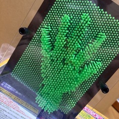 3Dピンアートの画像