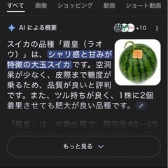 スイカ「ラオウ」の画像