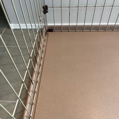 カインズ　サークル　ゲージ犬の画像