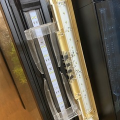 （8/3まで）水槽セットの画像