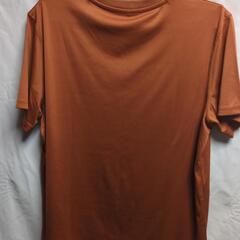 Tシャツの画像