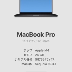 Apple MacBook Pro M4 スペースグレー 24GB 1TBの画像