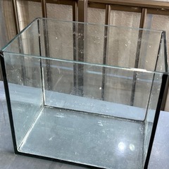 フレームレス　ガラス水槽①　25ｾﾝﾁ オマケ底砂利付き‼︎の画像