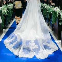 ロングベールの画像