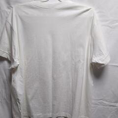 白Tシャツの画像