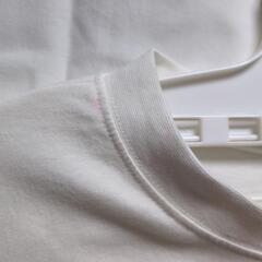 白Tシャツの画像