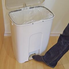 サンコープラスチック(SankoPlastic) 日本製 ゴミ箱 ペダルペール W-45 ライトベージュ 約48L①の画像
