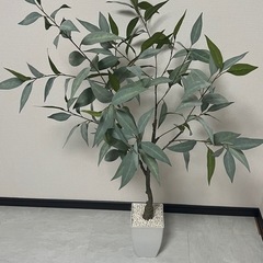 【フェイクグリーン 観葉植物】ユーカリの木（高さ約120〜140cm）の画像
