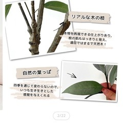 【フェイクグリーン 観葉植物】ユーカリの木（高さ約120〜140cm）の画像