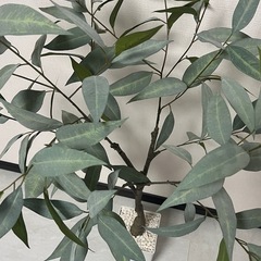 【フェイクグリーン 観葉植物】ユーカリの木（高さ約120〜140cm）の画像