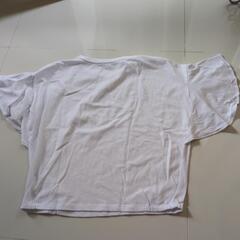 コムサ　Tシャツの画像