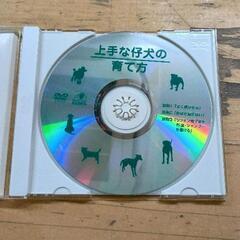 0725-090 上手な仔犬の育て方の画像
