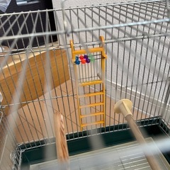 鳥かごの画像