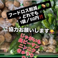 農家さんのフードロス削減野菜1袋50円！