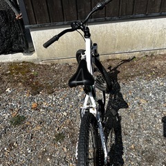 Specialized HOTROCK　20インチ マウンテンバイクの画像