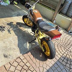 エイプ50の画像