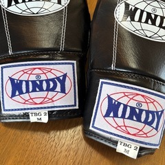 WINDY ウィンディ パンチンググローブ グローブ ボクシング ムエタイ TBG2 M Blackの画像