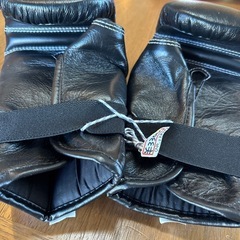 WINDY ウィンディ パンチンググローブ グローブ ボクシング ムエタイ TBG2 M Blackの画像