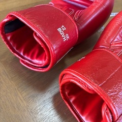 WINDY ウィンディ トレーニンググローブ パンチンググローブ ミット打ち ボクシング 12oz BGVHの画像
