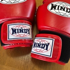WINDY ウィンディ トレーニンググローブ パンチンググローブ ミット打ち ボクシング 12oz BGVHの画像