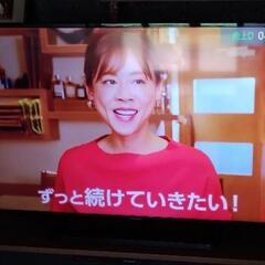 パナソニック 大画面 49型 薄型 テレビ TH-49D300 リモコン付 の画像