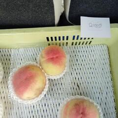 浅間白桃　はねだし　お1つの画像