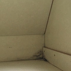 キャンピングカーだった..　フィアット　デュカトの画像