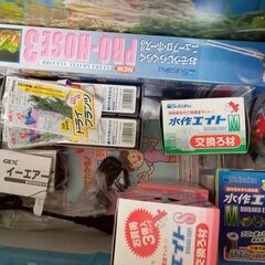 金魚セット 未使用の画像
