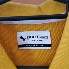 Tシャツの画像