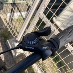 ファットバイク 【配送可】ビーチクルーザー 自転車　26インチの画像
