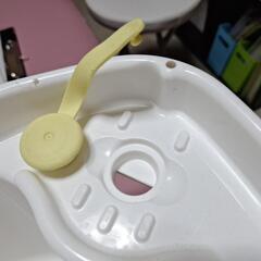 　ベビーバス　メダカ飼育等にいかがでしょうか？の画像