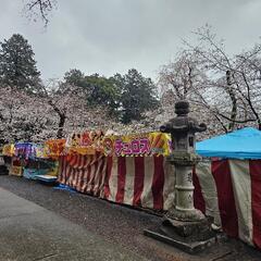 ※盆踊り※花火大会※露店※テキヤ※祭り※の画像