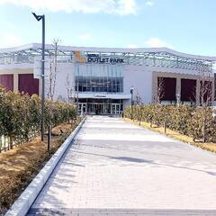 お一人さまも大歓迎♪ 自分のペースで楽しめる夏体験f♡花おとぎのひまわりアレンジ(1日体験)の画像
