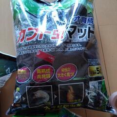 カブトムシ用品（全て古いですし残り物多いです）の画像