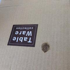 新品・フォンデュ用・パーティー等に…🫕の画像