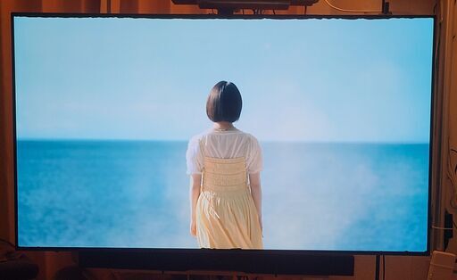 LG 55インチ有機ELテレビ2021年難あり