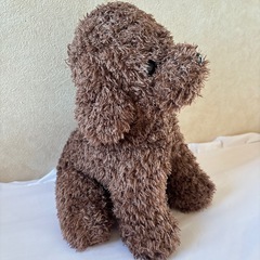 【美品】 トイプードル ぬいぐるみ 犬  ブラウンの画像